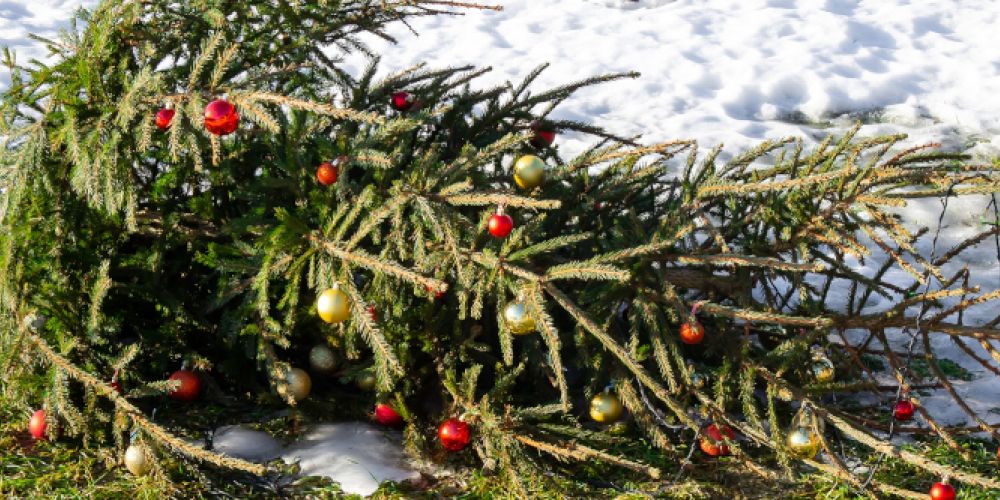 Turbulentes Wetter bis zum Weihnachtsfest