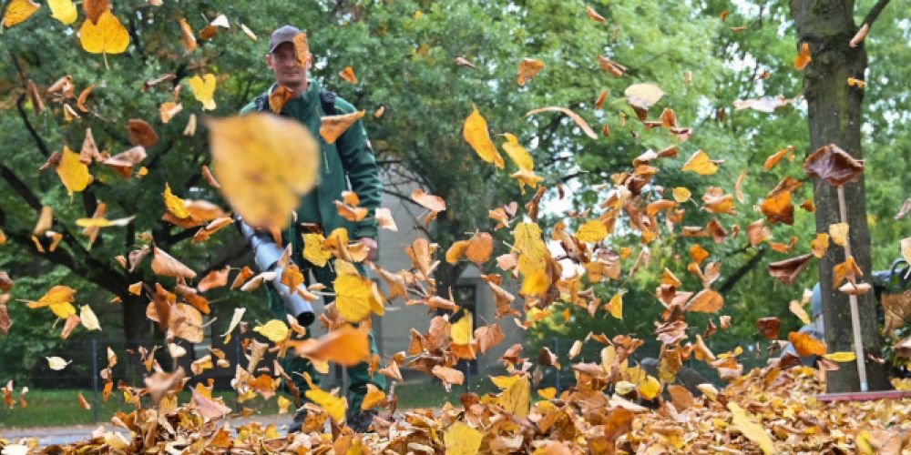 Herbst: Wer muss Bürgersteig vom Laub freihalten?