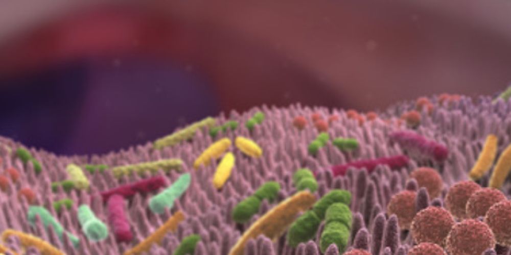 Bahnbrechende Studien als zweite Chance für kurzkettige Fettsäure