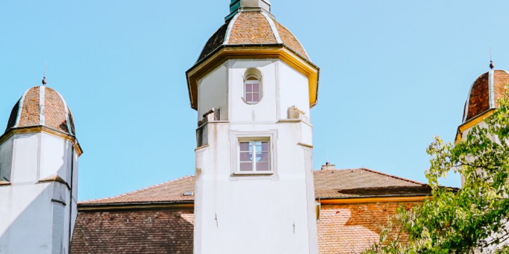 Hochrheinmuseum Schloss Schönau öffnet am internationlaen Museumstag