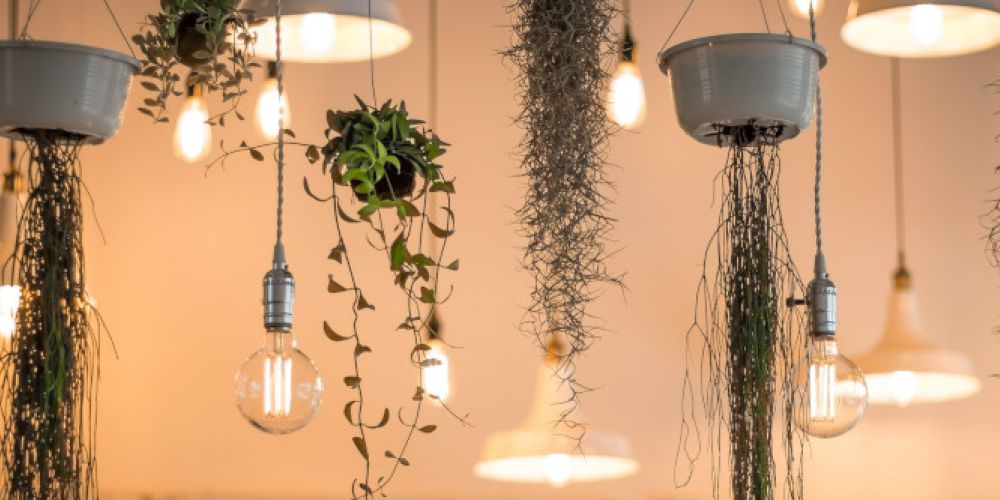 Tag des Lichts: Tipps für einen gesunden Umgang mit Licht – für Mensch und Umwelt