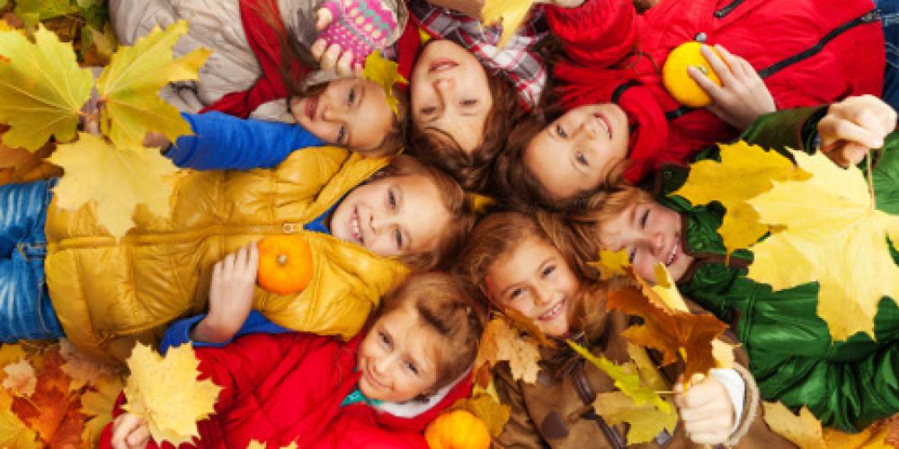 Warum verfärben sich dieses Jahr die Blätter so früh?