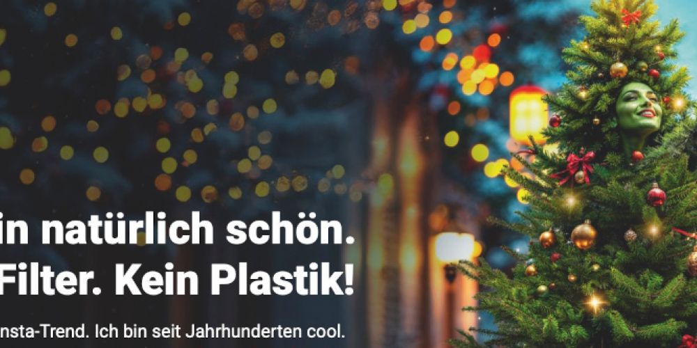 Erster bundesweiter Tag des natürlichen Weihnachtsbaums am 8. Dezember