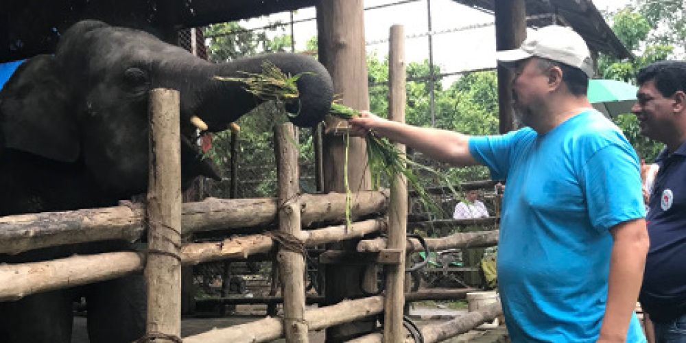 Ai Weiwei und VIER PFOTEN besuchen Arbeitselefanten in Myanmar