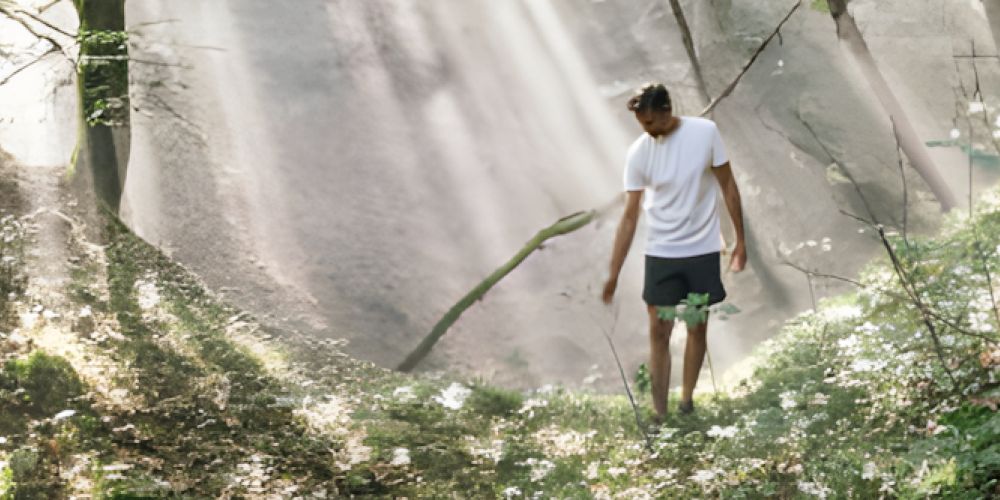Bayerns Kurwälder werden zum Gesundheitsmodell der Zukunft