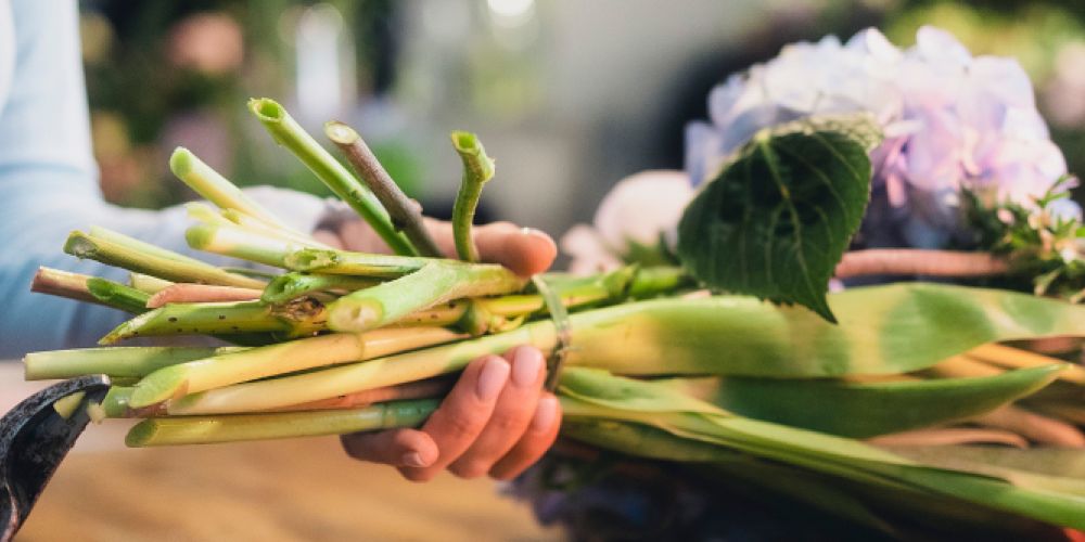Floristinnen im 6-Tage-Dauer-Einsatz mit Minimal-Urlaub