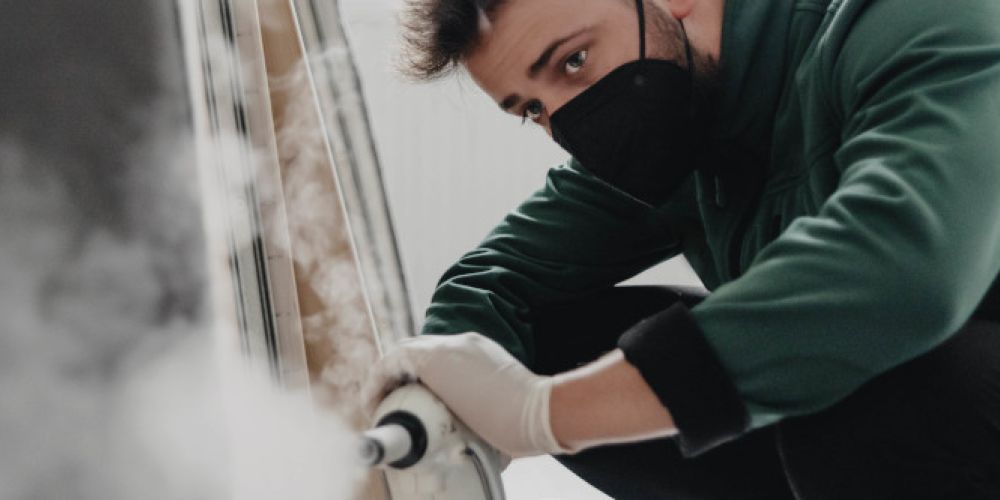 Reisezeit ist Bettwanzenzeit: „Waldemar“ wirkt ökologisch gegen "Bettgenossen"