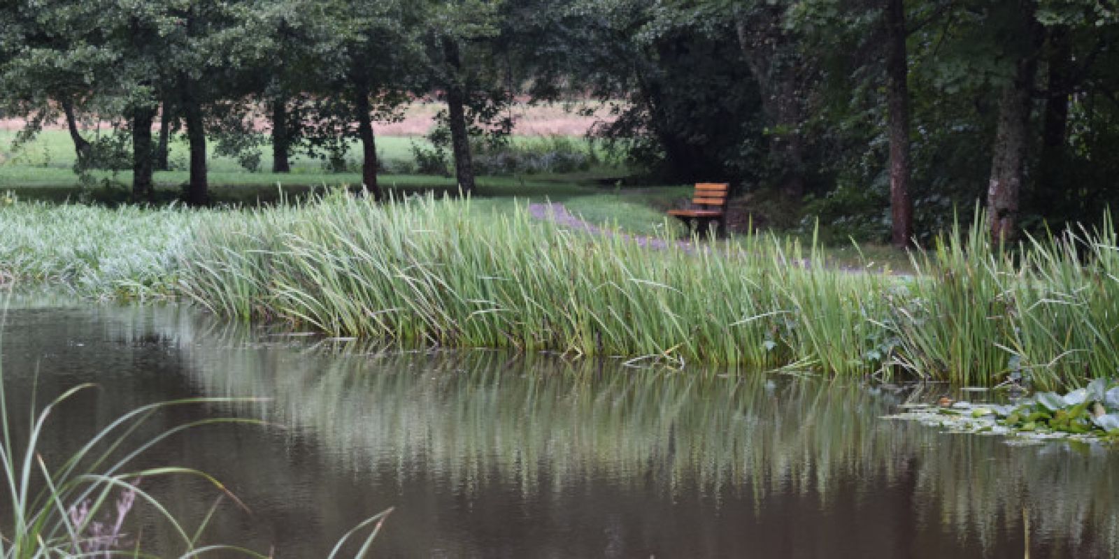 Walderlebnispfad Maisenhardt