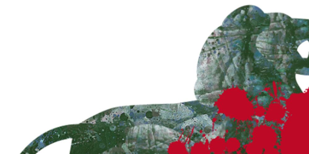 Die Schule als Kampfzone