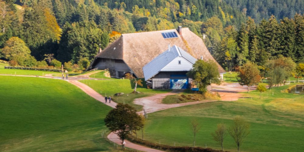 Die Ferienregion Hochschwarzwald ist erneut als Premium-Wanderregion ausgezeichnet worden