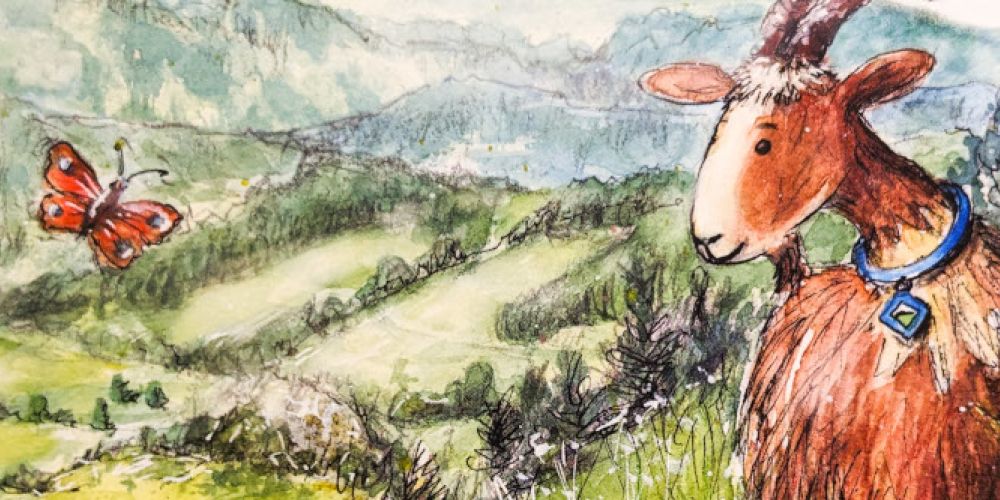 Abenteuer rund um die Ziege Meck und den Auerhahn