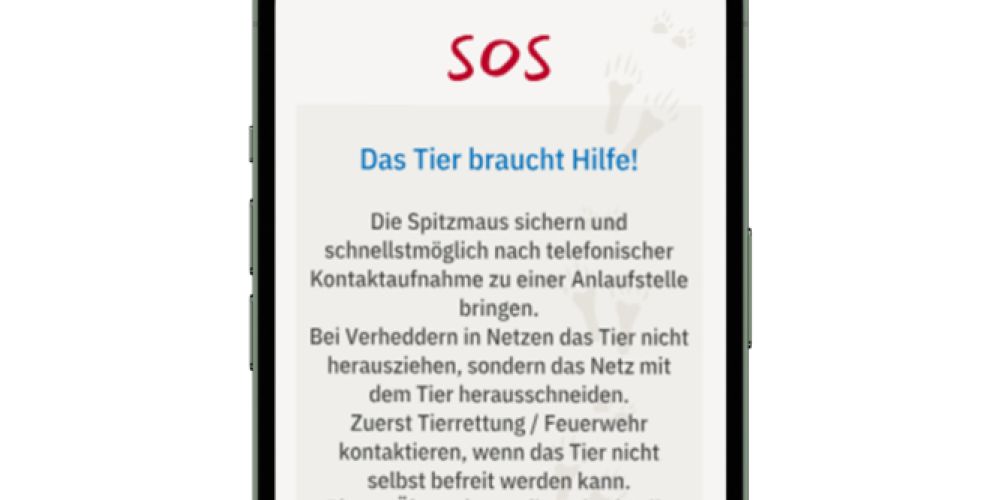Schnelle Hilfe für Wildtiere per App