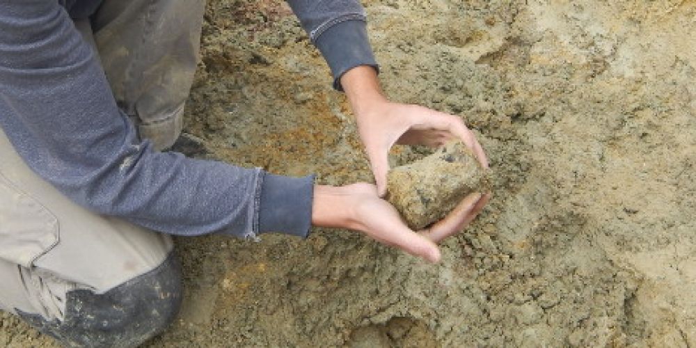 St. Georg und der Dino. Die Dinosaurier-Fundstelle in Schleitheim