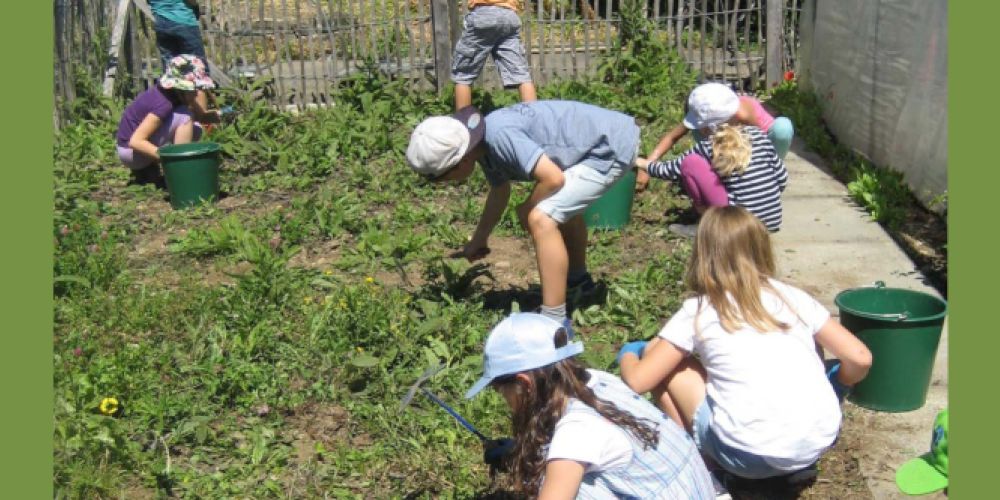 Naturparkgärtner*in – Die ersten Samen sind gesät