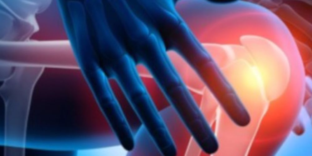 Studie: Kurzkettige Fettsäuren für starke Knochen und gesunde Gelenke