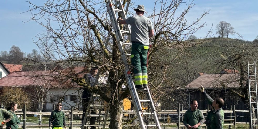 Obstbaum-Schnittkurse 2026