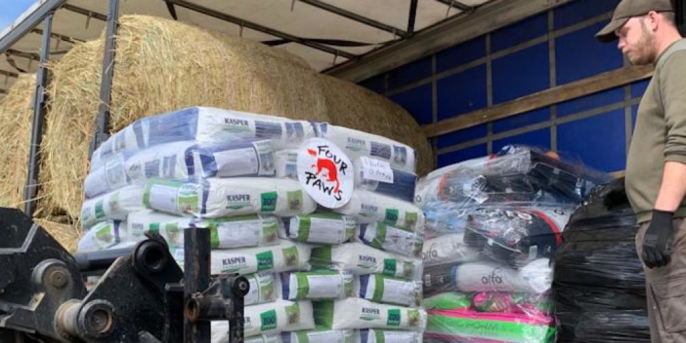 Ukrainische Zoos in Not: VIER PFOTEN liefert fast 20 Tonnen Tierfutter