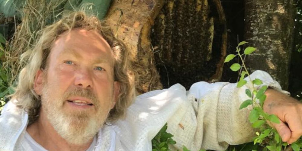 Imkerei in der Jungsteinzeit in den Pfahlbauten am Bodensee