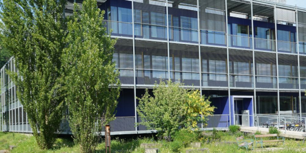 Wie können Siedlungen mit Hilfe von Biodiversität klimaresilient werden?