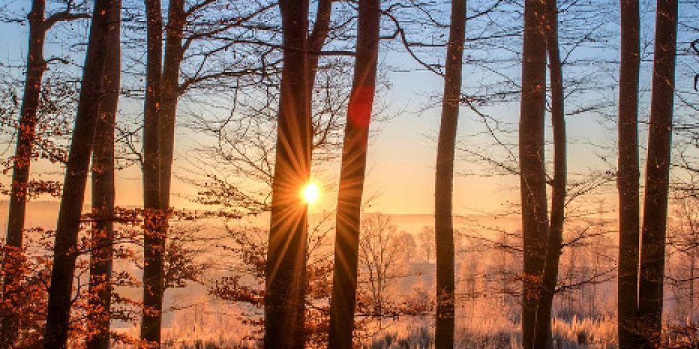 Gründungsversammlung der Waldgenossenschaft Südschwarzwald