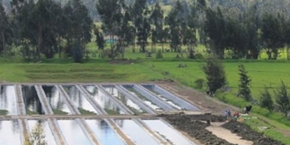 Global Nature Fund und Kärcher feiern 10 Jahre „Clean Water for the World“