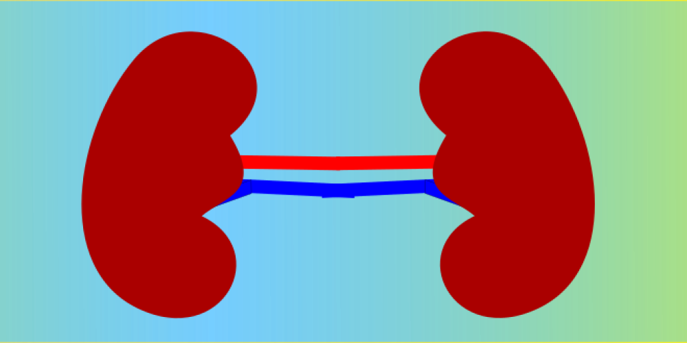 Post-Vac: Betroffene mit Muskel- und Gelenkschmerzen und auffälligen Leber- und Nierenwerten