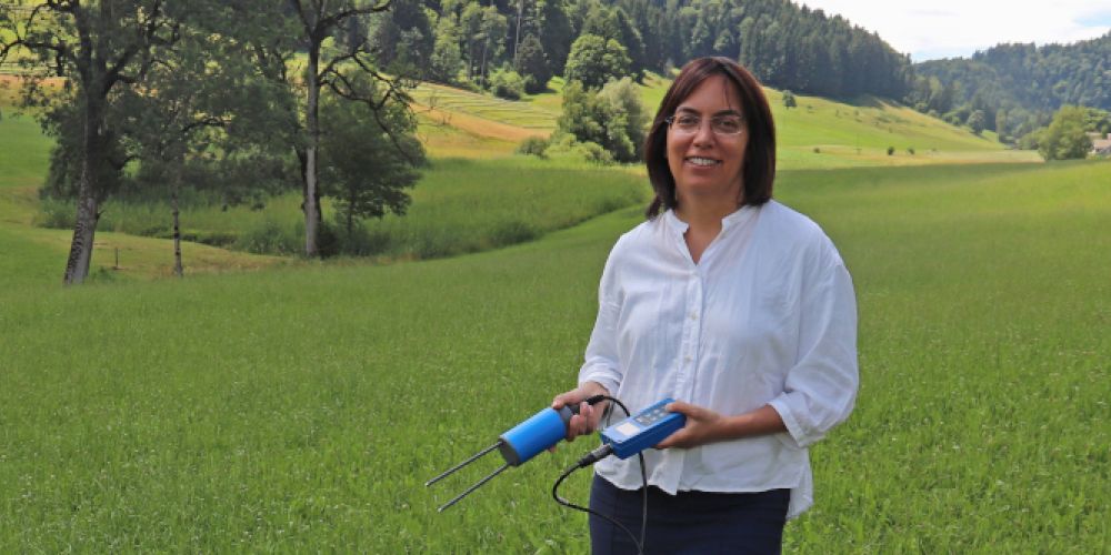 Trockene Böden heizen Erde auf
