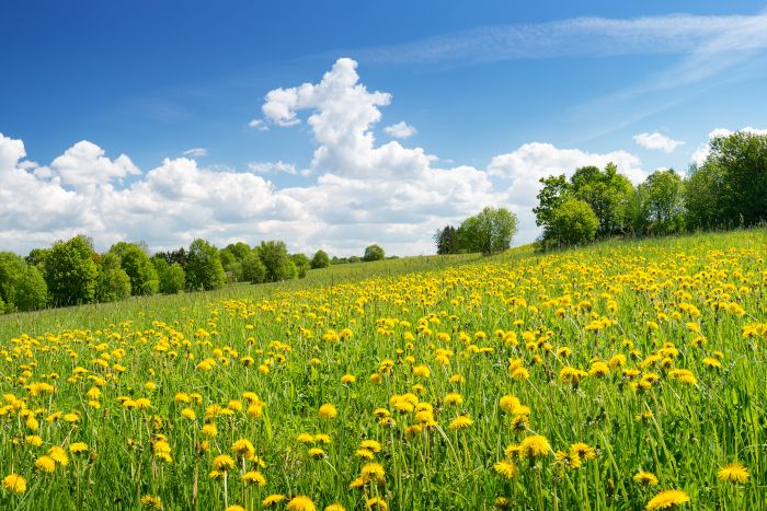 Was ist dran an den Eisheiligen?