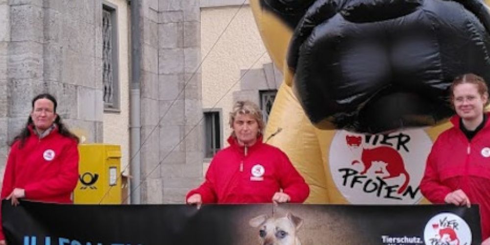 Illegaler Welpenhandel in Hagen vor Gericht