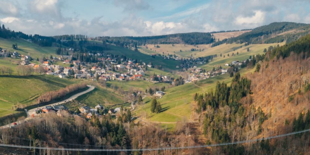 Lesen auf dem Berg: Preisgekrönte Autor:innen bei den Literaturtagen Todtnauberg