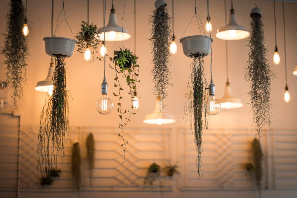 Tag des Lichts: Tipps für einen gesunden Umgang mit Licht – für Mensch und Umwelt