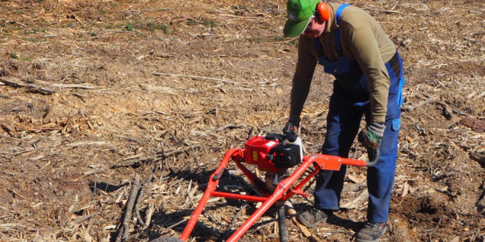 Gemeindewald Lottstetten erwirtschaftet ein leichtes Plus
