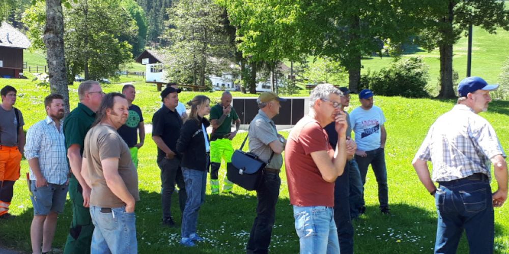 Wertvoller Austausch zur Anlage und Pflege von blütenreichen Wiesen