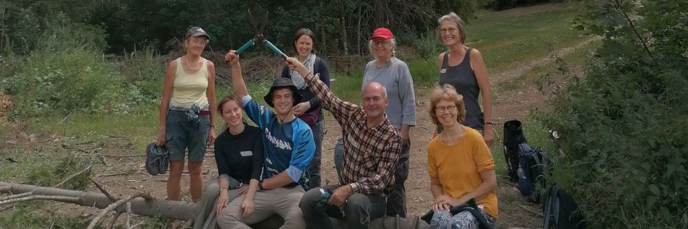 Auf der Spur des Drüsigen Springkrauts