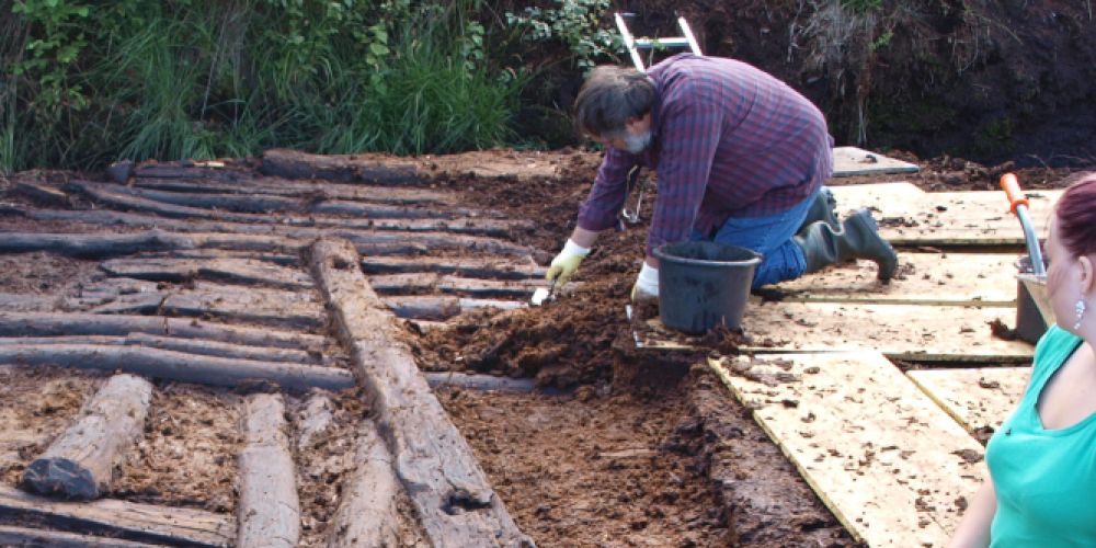 DBU: Moore zwischen Natur- und Denkmalschutz
