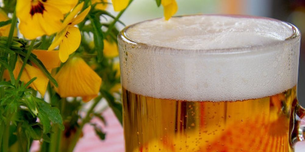 Umfrage: So bekämpfen Vatertagsausflügler den "Kater" danach