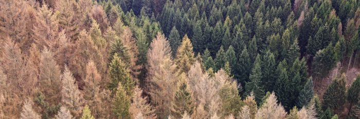 Zweitwärmstes Jahr seit 1881