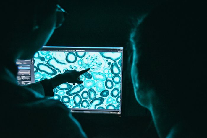 Entzündungen besser verstehen