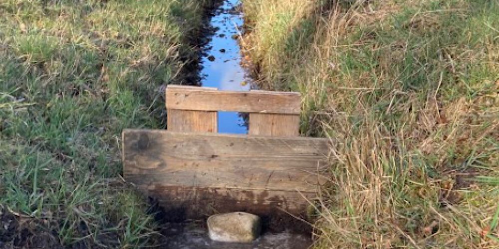 DBU: Sorgsam mit Wasser umgehen