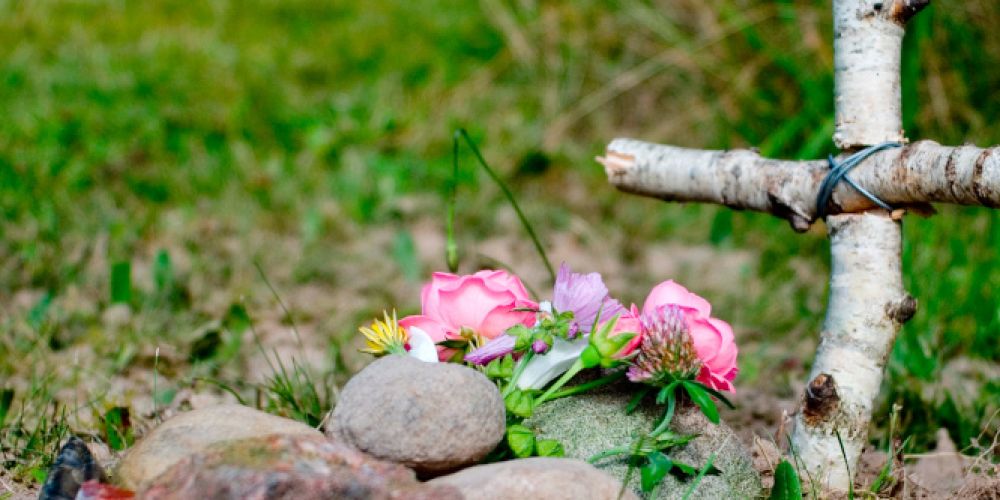 Friedliche Ruhestätte für Bello, Miezi und Co.