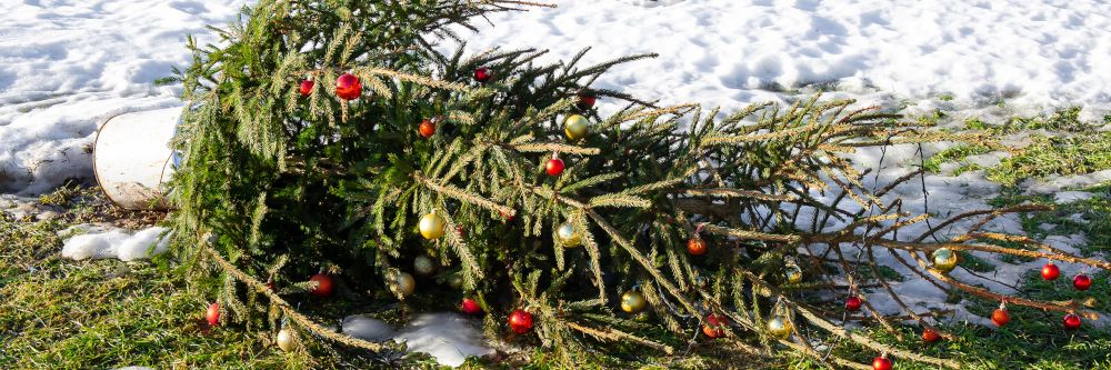 Turbulentes Wetter bis zum Weihnachtsfest