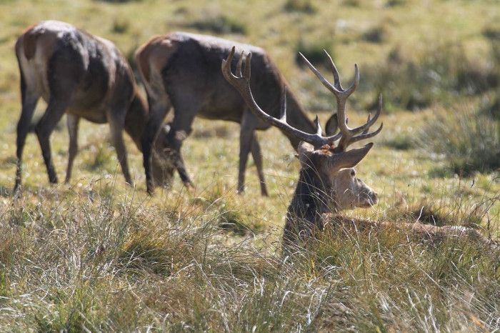 Veranstaltungshighlights im Oktober 2019