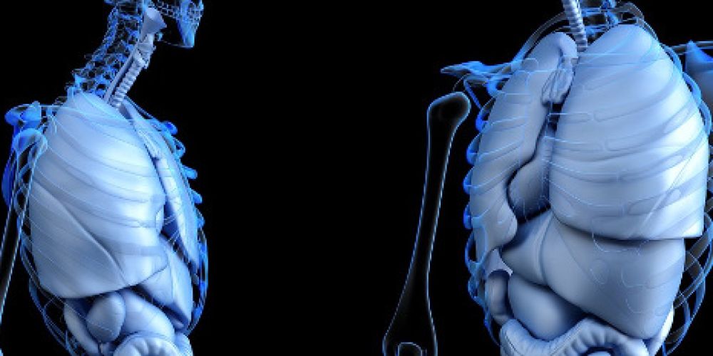 TK und AMSEL starten Telemedizin-Projekt für Multiple Sklerose (MS)-Erkrankte