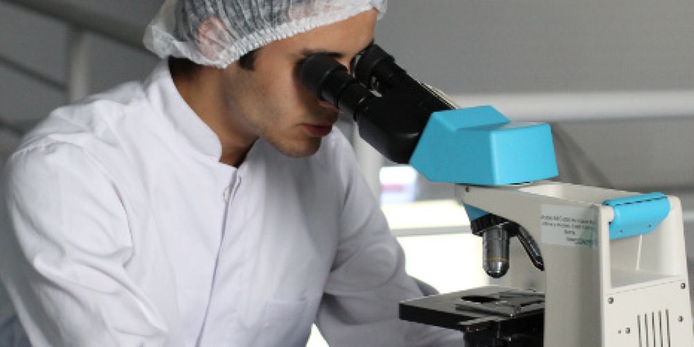 Verregnetes Wochenende? Im phaenovum sind Plätze frei!