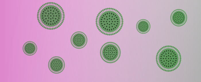 Coronavirus: Verdachtsfall nicht bestätigt