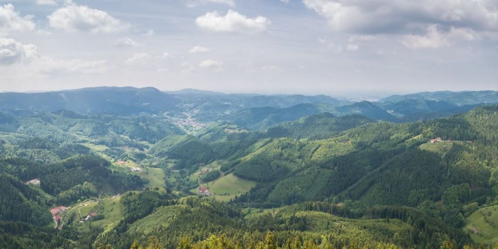 Erlebnisreiche Schwarzwälder Herbst-Tipps für die ganze Familie