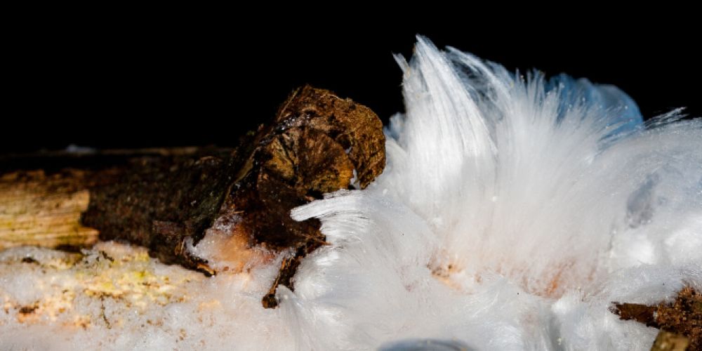 Haareis – Ein ganz spezielles Eiskristall