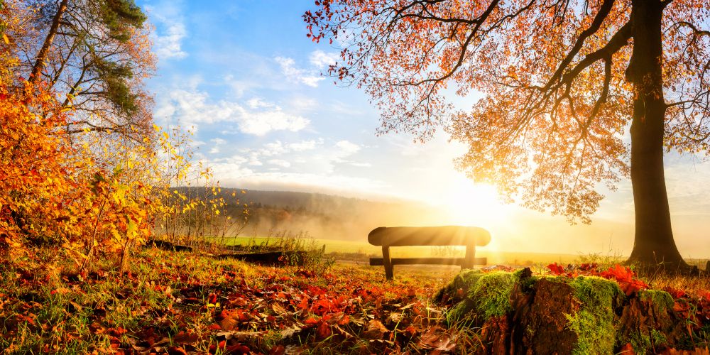 Bei uns kein Regen in Sicht