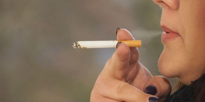 Uni Hohenheim startet Projekt „Sei dabei, RAUCHFREI!“ an Berliner Tafel