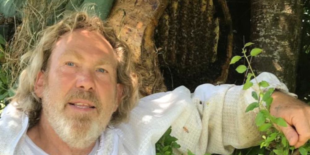 Imkerei in der Jungsteinzeit in den Pfahlbauten am Bodensee